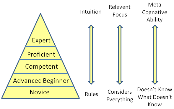 the dreyfus model of skill acquisition